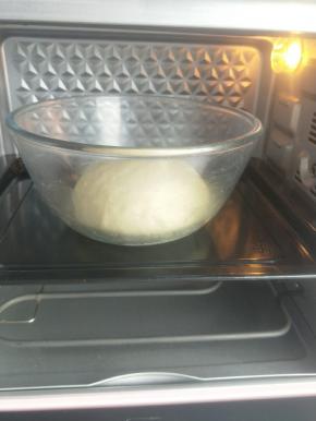 放入海氏c40小粉烤箱进行一发。