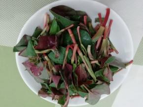 折耳菜去掉根部