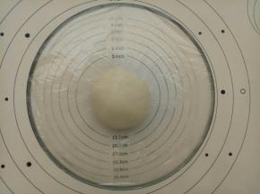 把揉好的面团盖上保鲜膜进行一发(温度不要超过28度) 。