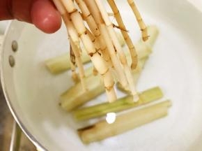 加入茅根