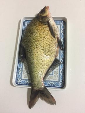 武昌鱼去鱼鳞，去内脏，去鱼鳃，洗净备用。