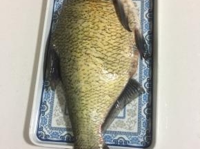 武昌鱼去鱼鳞，去内脏，去鱼鳃，洗净备用。