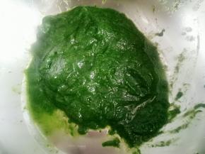 菠菜过凉水降温后放入料理机打碎