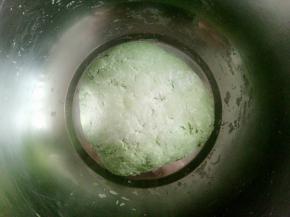 揉成面团，盖上盖子醒半个小时以上，时间宽裕的话可以多醒一些时间