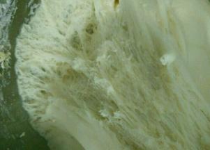 把面团揉圆，然后盖上湿布，放到温暖处发酵一个小时左右，拉开面团有蜂窝状即可。