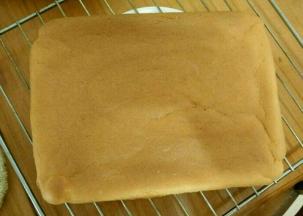 放到预热好的烤箱，上管150度，下管140度烤25分钟左右出炉凉凉。