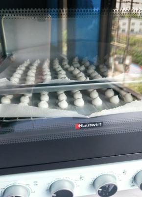 放入预热好的海氏B33烤箱中,100度40分钟即可。