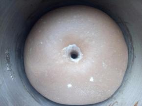 大概40-50分钟左右，用手指粘面粉在面团中间戳个洞，不回缩，不塌陷就发好了 。