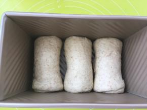 卷好的卷放入吐司盒内，盖上盖子烤箱放碗热水，入烤箱二次发酵