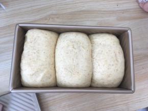 面团发酵至8、9分满，按下去很有弹性即可，预热烤箱180度烤40分钟