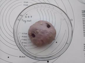 揉好的面团盖保鲜膜26度左右进行一发(一发温度不要超过28度) 。