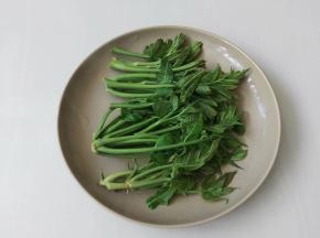 焯过水的香椿沥干水分