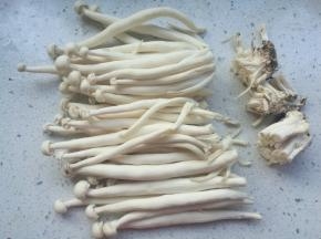白玉菇去掉根部。