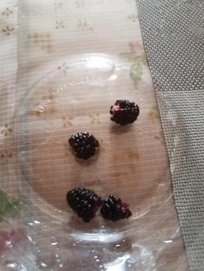 然后直接用手捏成小块。