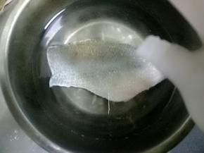 用水泡一片鲈鱼，里面放一点白醋
