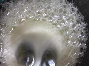 加入一半的白糖到蛋白中，电动打蛋器启动低档打至糖融化