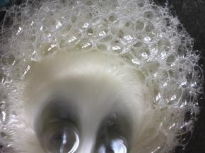 加入一半的白糖到蛋白中，电动打蛋器启动低档打至糖融化