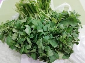 准备西洋菜