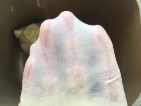 揉好的面团可以撑出手套膜即可