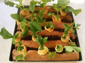 之后在萝卜洞内装饰上适量的萝卜叶子