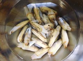 1，首先将买回来的蛏子放盐水中浸泡两小时，让它们把泥沙吐掉，然后用流水冲洗干净。