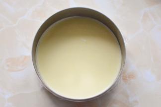 将搅拌好的慕斯糊倒一半至慕斯模具里面