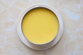 把冷藏了两个小时的慕斯糊拿出来，倒在上面，放入冰箱里冷藏4小时以上,拿出来放上

芒果丁切成小块就可以食用了