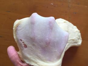 揉出薄膜即可，面包机中发酵