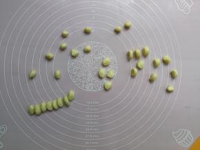 剩余的1个小面团搓成长条后分成32个，要用来做小青蛙的眼睛