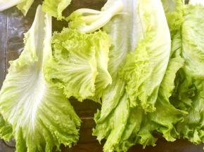 生菜叶洗干净滤干水分