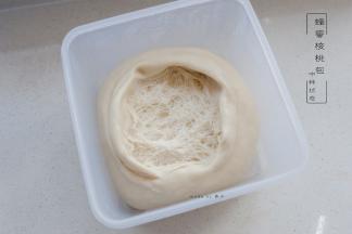 中种发酵至内部呈蜂窝状即可使用