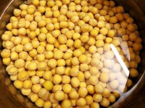 干豌豆淘洗干净后加清水放入冰箱冷藏泡一夜