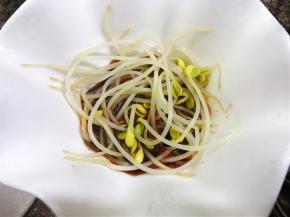 焯熟的黄豆芽码入碗里