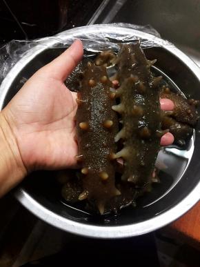 海参要提前泡发。我通常要提前五天开始准备海参部分。