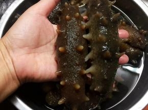 海参要提前泡发。我通常要提前五天开始准备海参部分。