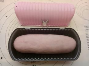 卷好放入阳晨450克圆形吐司模具里。