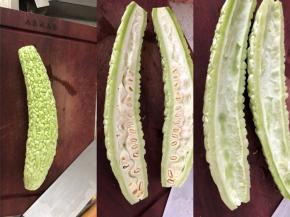 苦瓜解剖方法：用刷子把苦瓜沟壑清洗干净。去头去尾。切成两边，去掉里面的籽