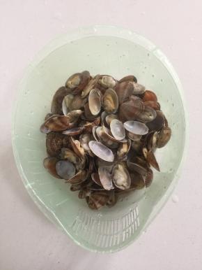 焯好水的花甲放在清水中清洗干净，捞出沥干水份备用。