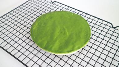 最后修整成边缘整齐的圆形