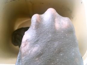 揉好的面团切下一小块，可以撑出手套膜即可，因为添加了可可粉跟竹碳粉，面团弹性差一些，没关系，慢慢可以撑出膜就行