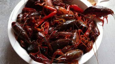 活蹦乱跳的小龙虾来2斤。