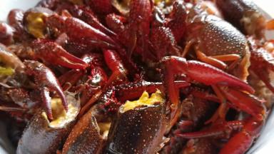 处理龙虾要有耐心哦！