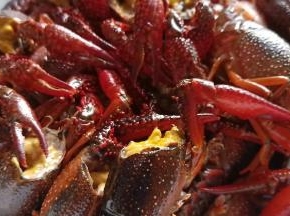 处理龙虾要有耐心哦！