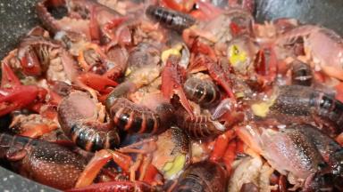 不粘锅多倒一点加拿大芥花油，龙虾倒进锅翻炒（加拿大芥花油用来油炸也是不错的选择）