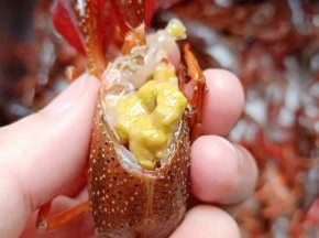 再剪去龙虾的小虾脚，还有龙虾头部的三角位置。