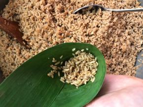 加入漏斗三分之一的糯米