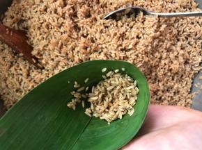 加入漏斗三分之一的糯米