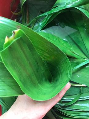 拿两张粽叶，折成漏斗形状