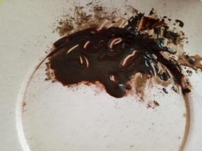 取适量可可粉用水调匀