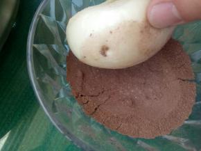 将晾凉的土豆馒头放可可粉里滚几下，让馒头粘满可可粉